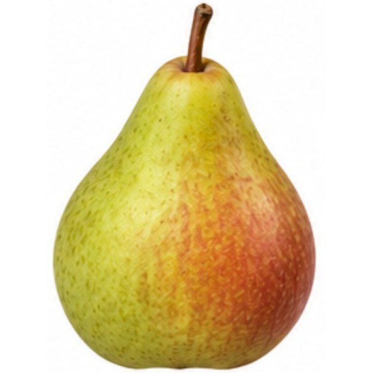 Pære 'Grev Moltke' - Pyrus communis 'Grev Moltke' (Store træer)