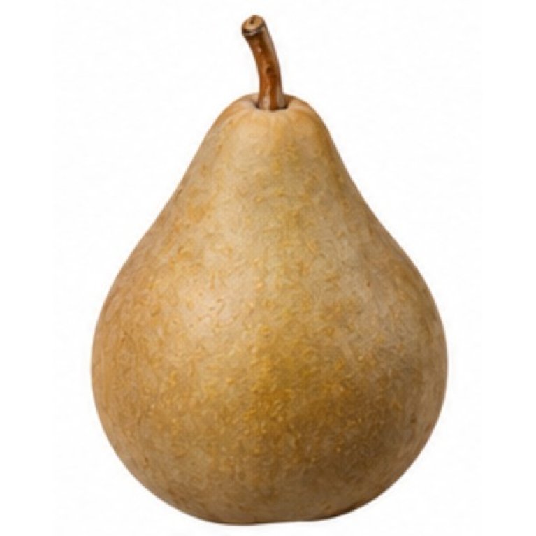 Pære 'Gråpære' - Pyrus communis 'Gråpære' (Store træer)