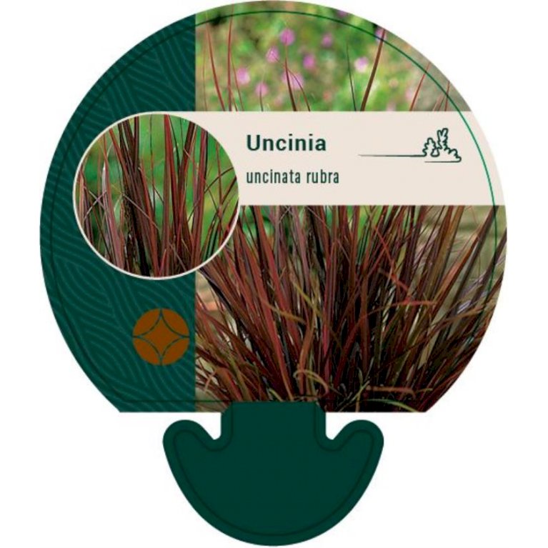 Uncinia-rødligt løv