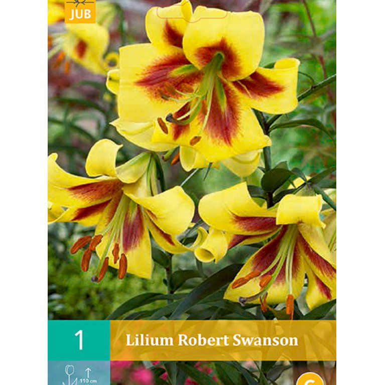 Lilje, special 'Robert Swanson' (nr. 104)