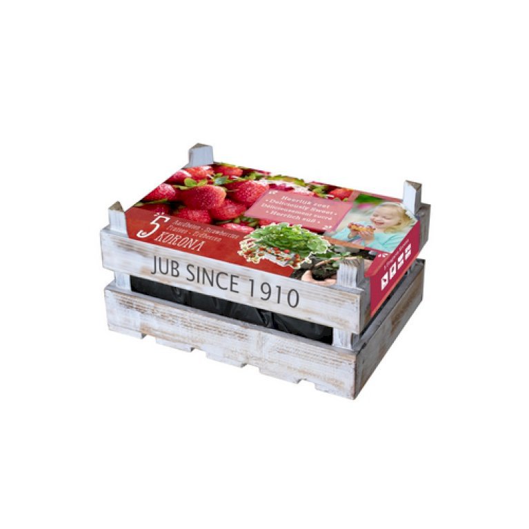 Jordbær i trækasse - 5 stk