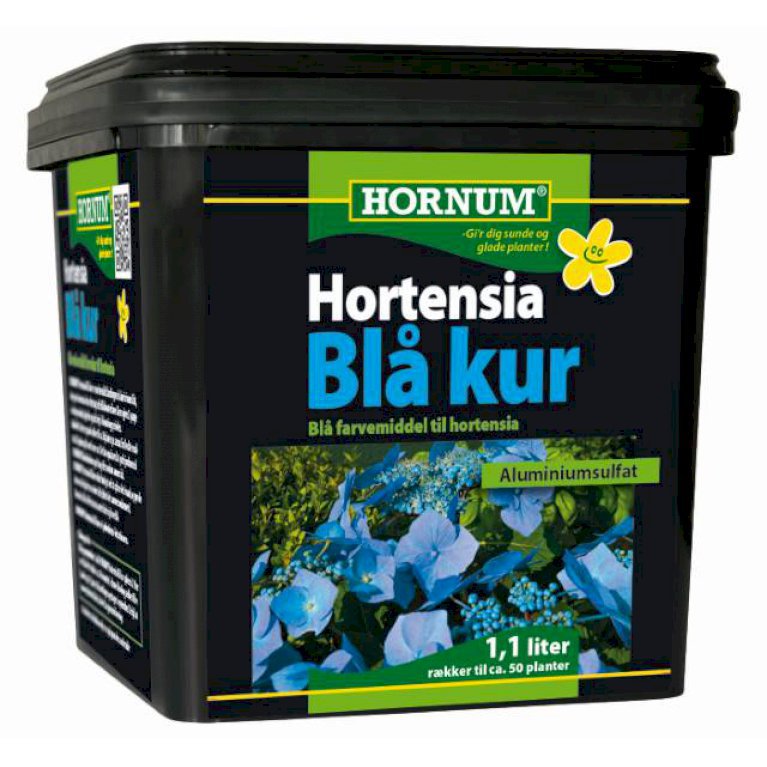 Hornum Hortensia blå kur