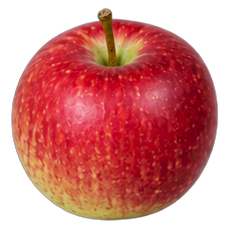 ÆBLE 'ROGERS MCINTOSH' - Malus domestica 'Rogers Mcintosh' (Havefrugttræ Potte 7,5 liter 125-150 cm.)