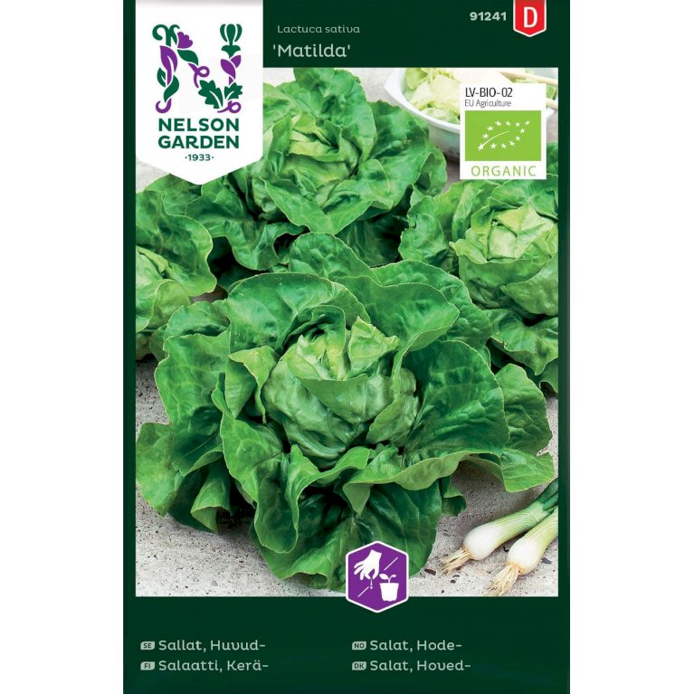 Salat, Hoved-, Matilda, Organic