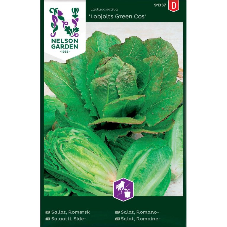 Salat, Romaine-, Lobjoits Green Cos