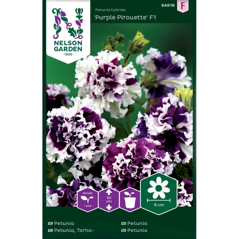 Petunia, Dobbelt, Purple Pirouette F1