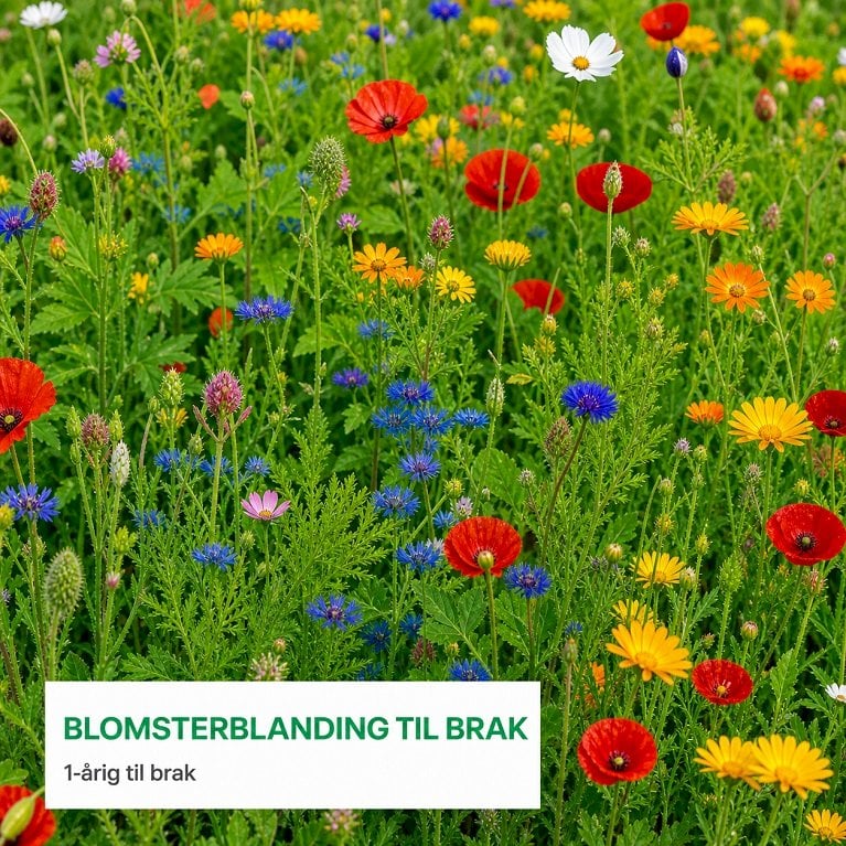 Landmandens blomsterblanding