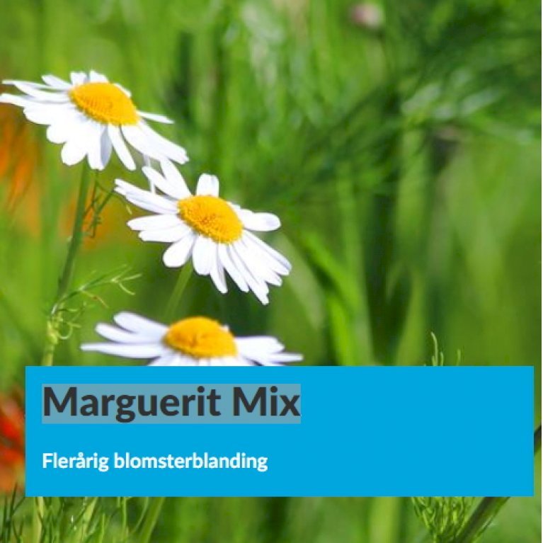 Marguerit Mix