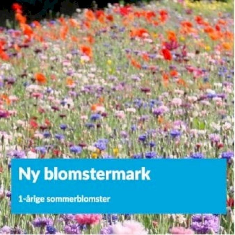 Ny blomstermark blanding