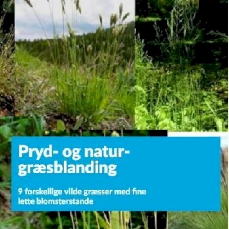 Pryd- og natur græsblanding