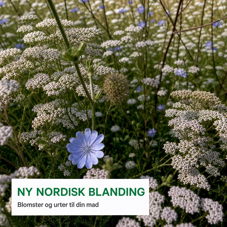 Spiselige blomster - Ny Nordisk