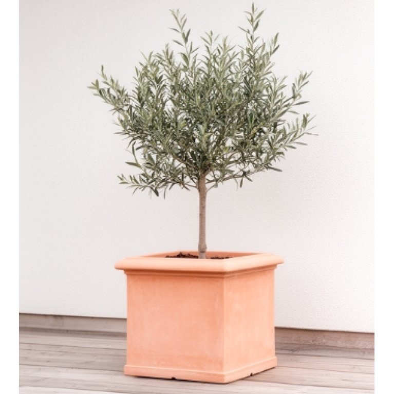 Venedig - Firkantede krukker