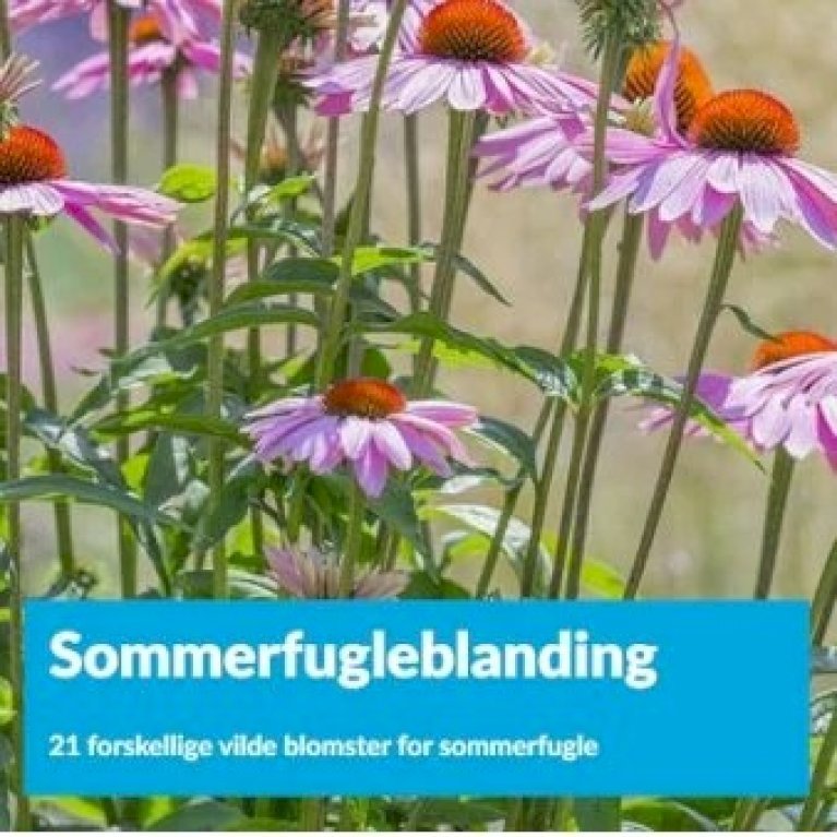 Sommerfugleblanding