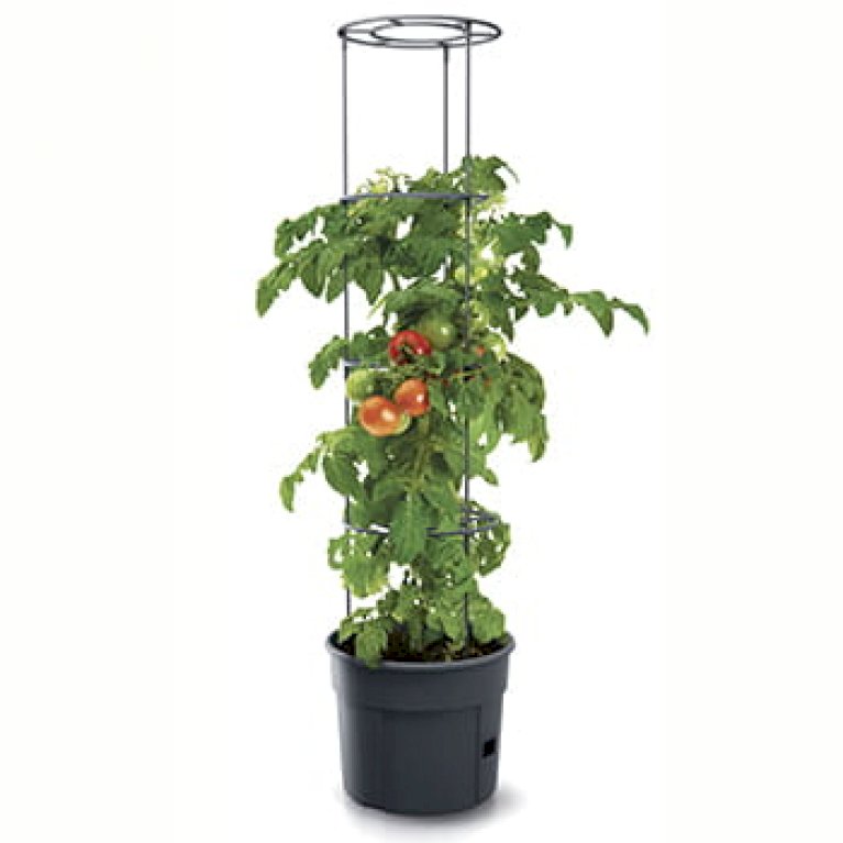 Tomatpotte 12 liter