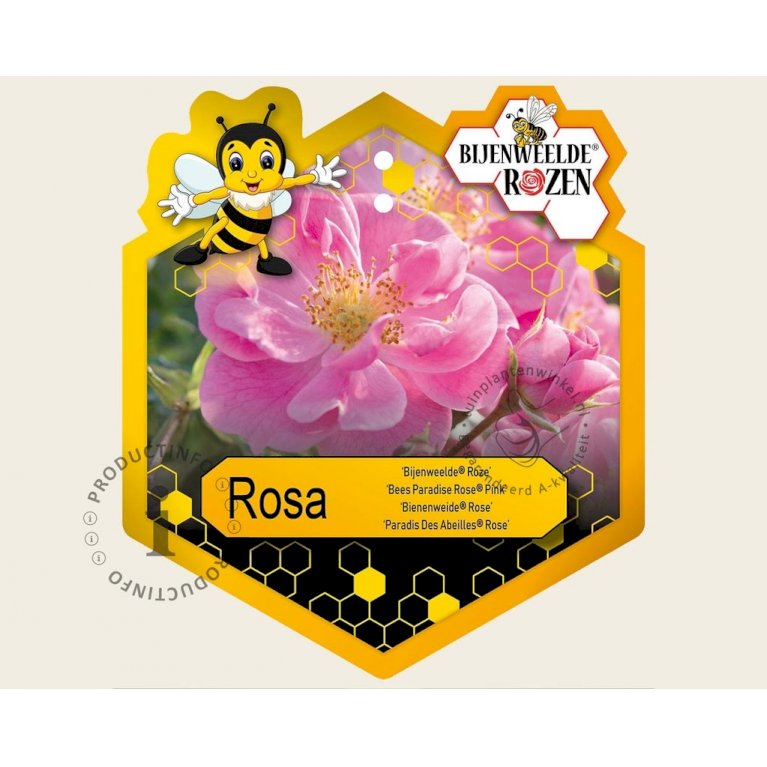 'Bees Paradise Rosa'