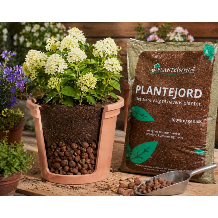 Plantetorvets plantejord