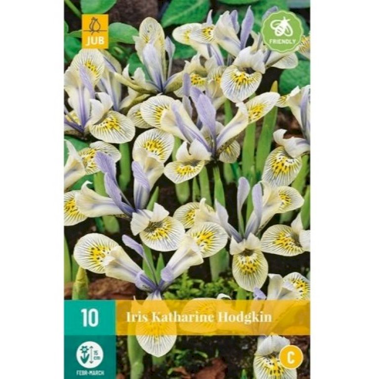 Dværg-Iris 'Katharine Hodgkin'