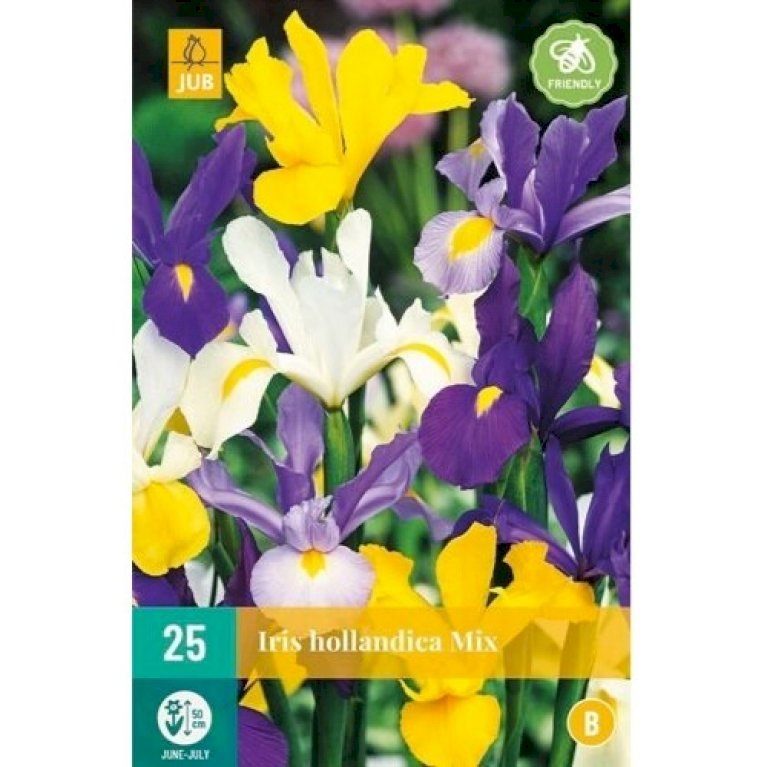 Hollandsk Iris mix