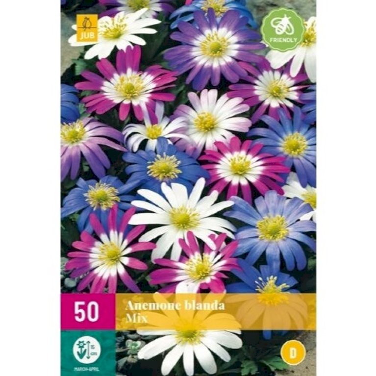 Balkan-anemone Mix XXL
