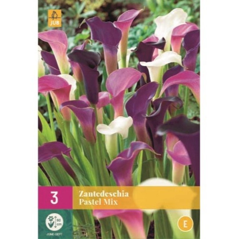 Calla Pastel Mix