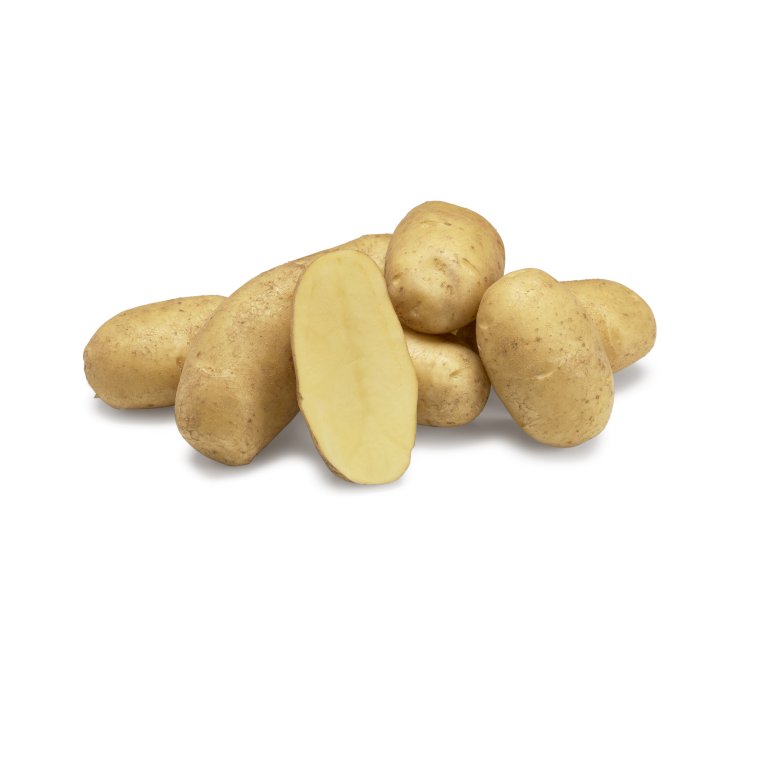 Læggekartofler 'Ditta' - Middel tidlig