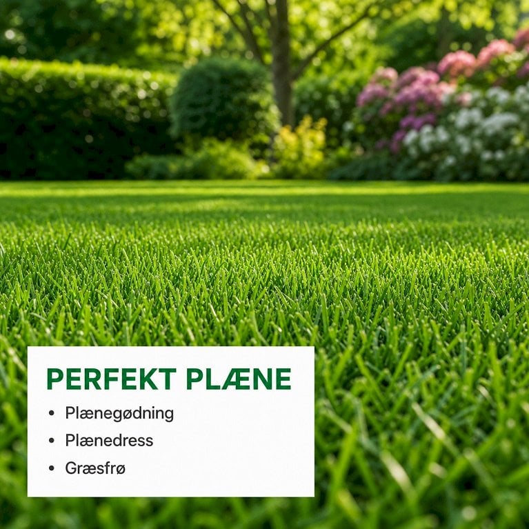 Perfekt Plæne - vedligeholdelse