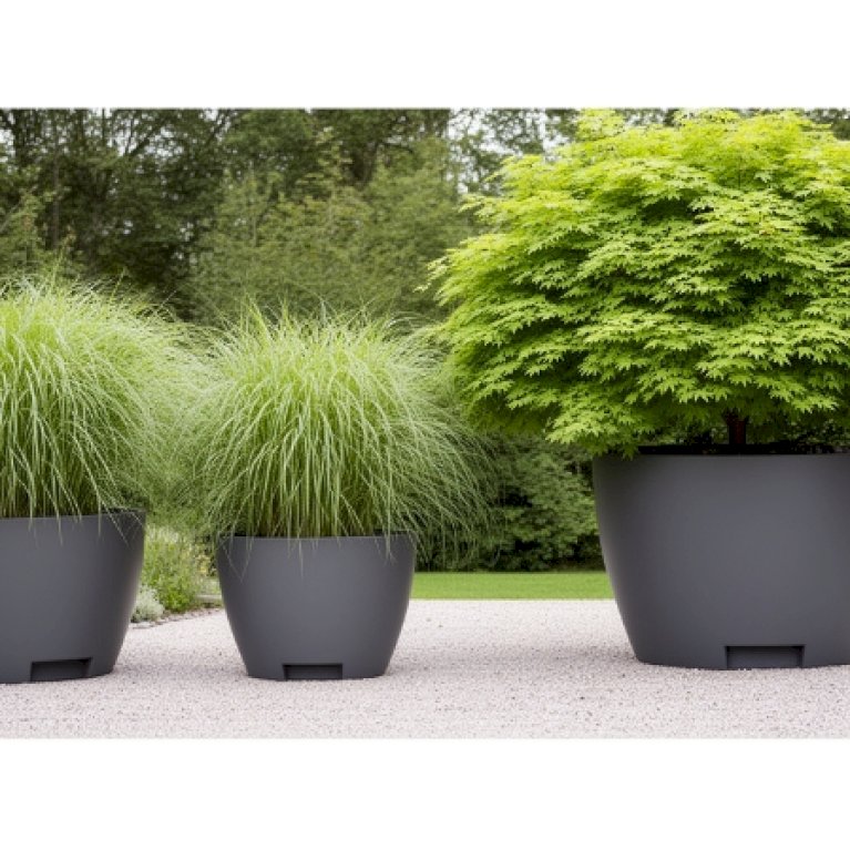 Megalos, kæmpekrukker