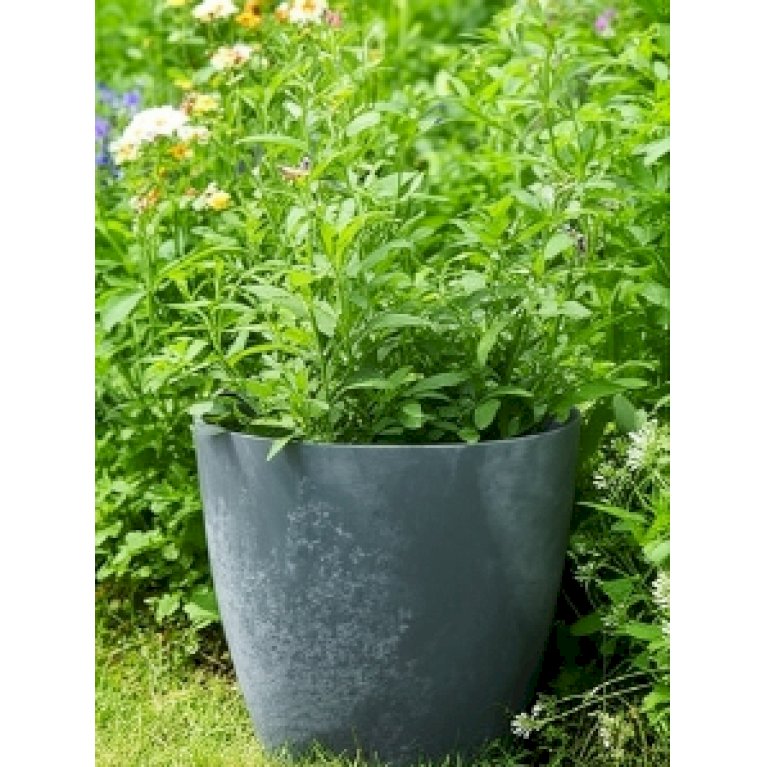 Mate Beton Effect, grå