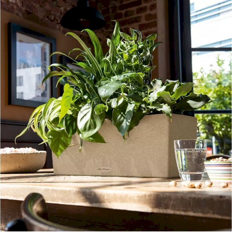 Lechuza Balconera Stone, Lys sandfarve