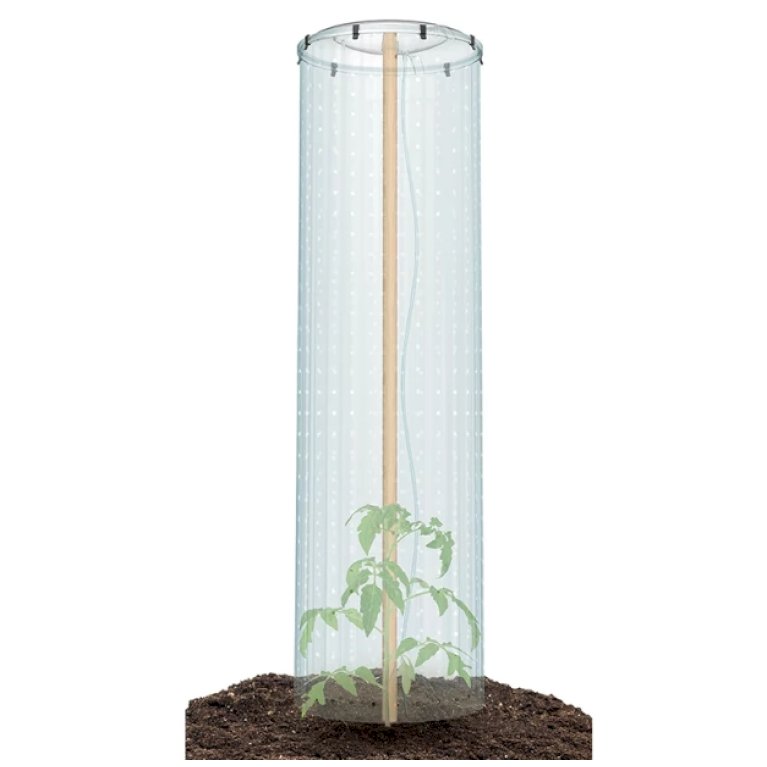 Tomato Grower Cap – mini drivhus til tomatpotte