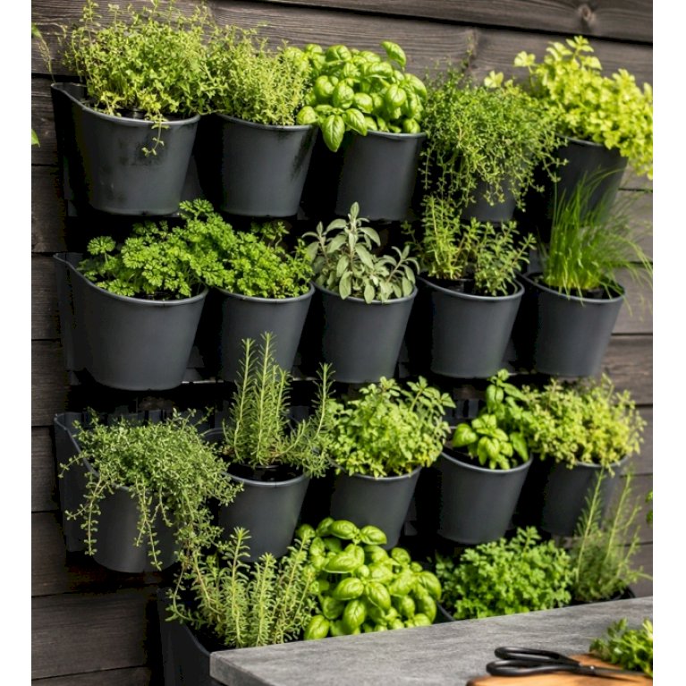 Garden Wall Vertical Garden