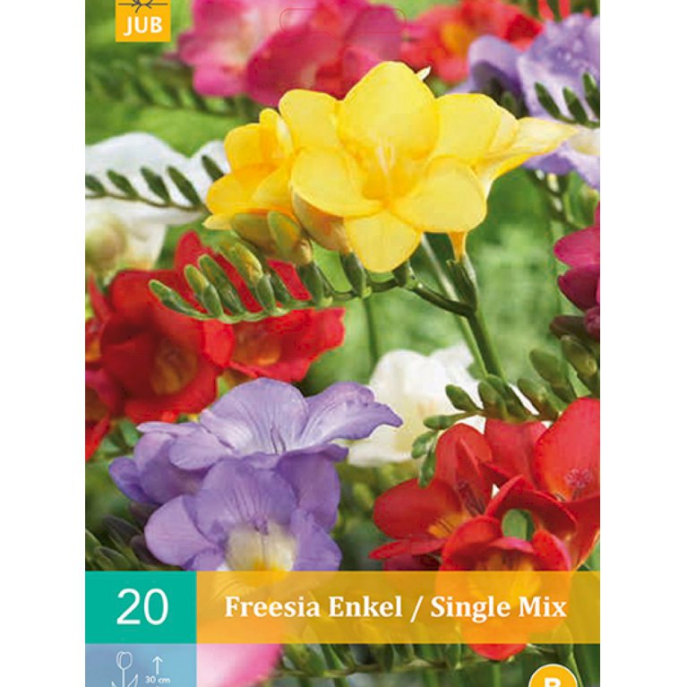 Freesia Single Mix (nr. 133)