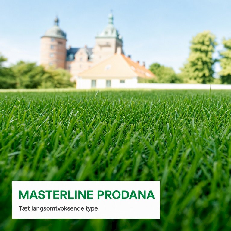 Masterline Prodana
