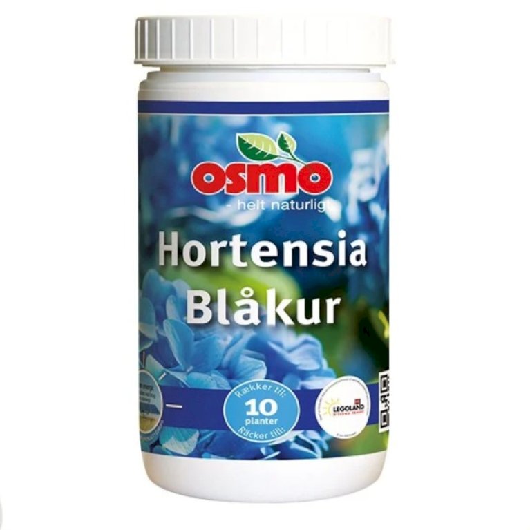 Hortensia Blåkur