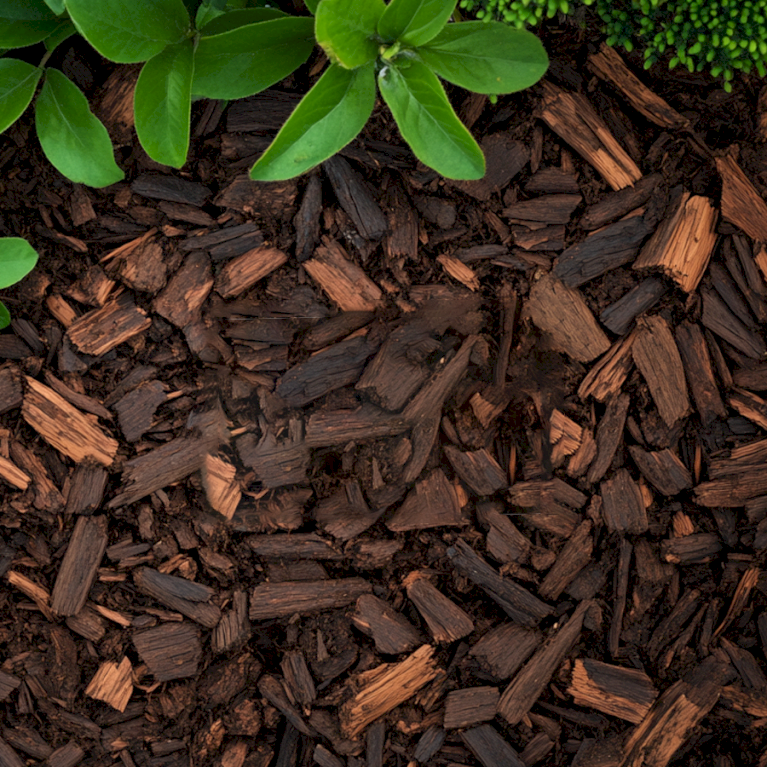 Pyntebark  fra Champost®