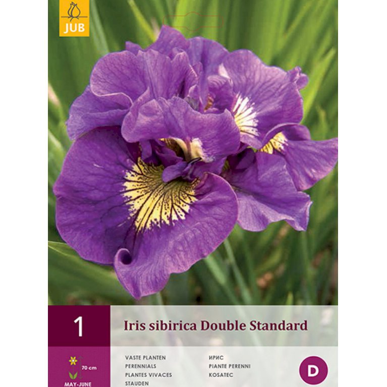 Sibirisk iris 'Double Standard' (nr. 186)