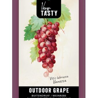 Vin 'Vanessa' 1,5 liter potte