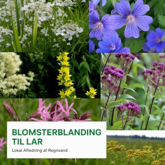Blomsterblanding til LAR 250 gram pose