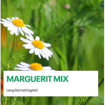Marguerit Mix 1 kg. pose