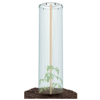 Tomato Grower Cap mini drivhus til tomatpotte Transparent folie, med låg