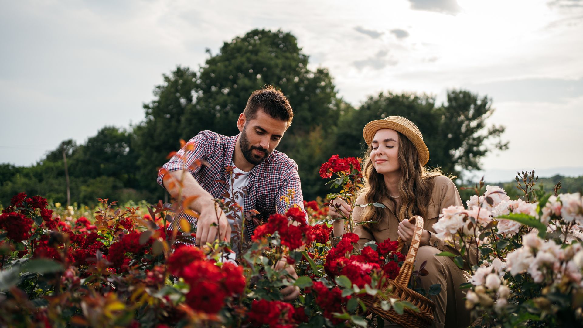 107-Billeder i mails og artikler (1920 × 1080px) (35).jpg