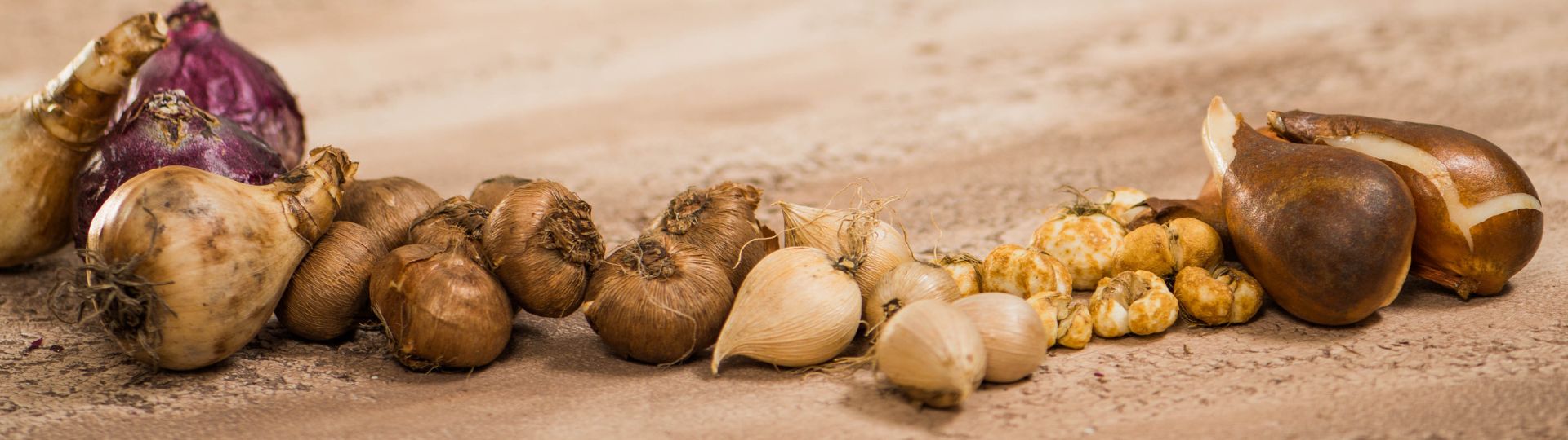 107-til lister (1920 × 540px) (18).jpg