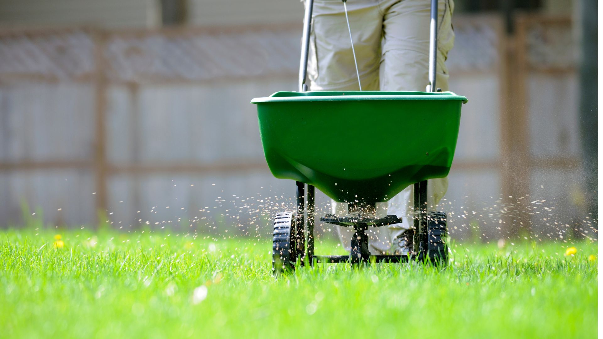 110-Billeder i mails og artikler (1920 × 1080px) (39).jpg