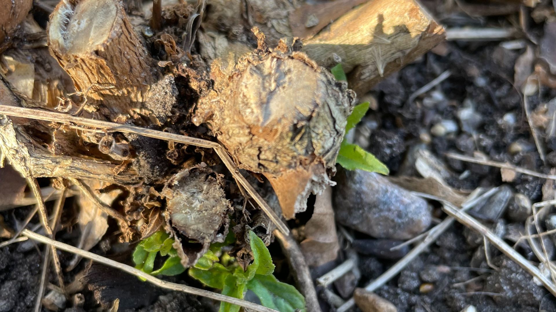 112-Billeder i mails og artikler (1920 × 1080px) (33).jpg