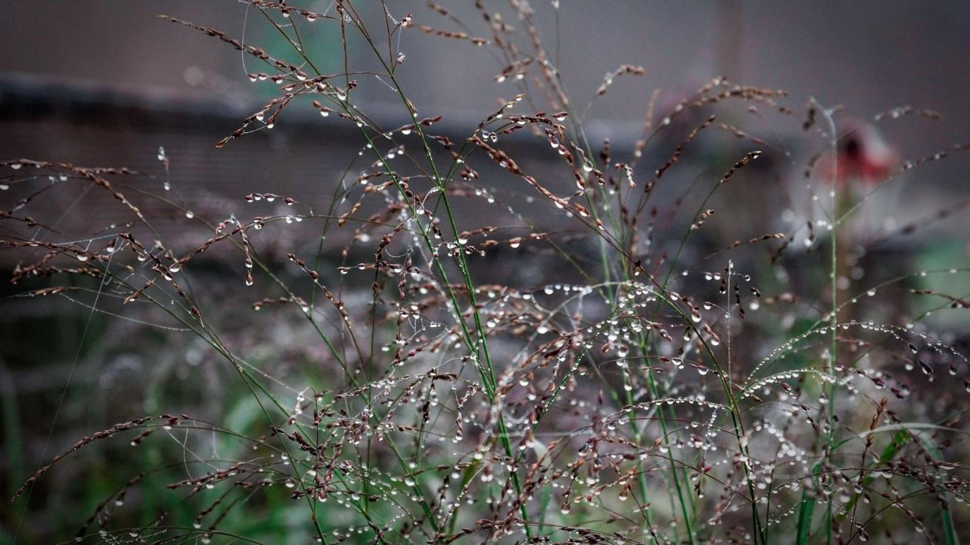 112-Billeder i mails og artikler (1920 × 1080px) (43).jpg