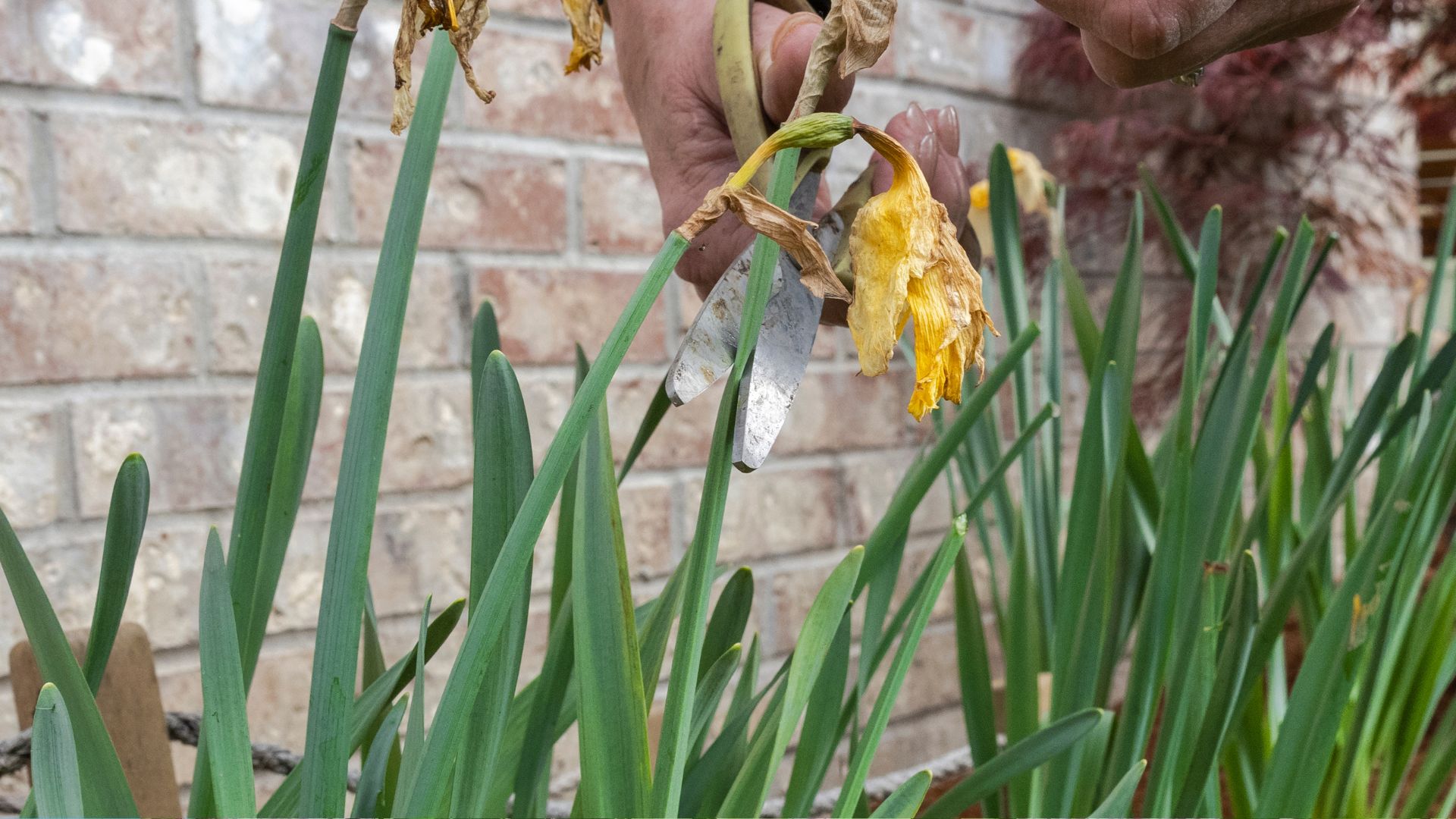 117-Billeder i mails og artikler (1920 × 1080px) - 2024-01-09T101709.462.jpg