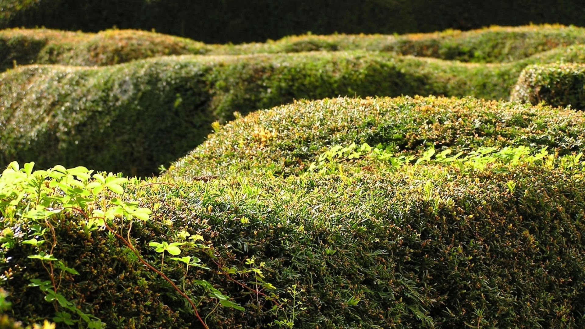 119-Billeder i mails og artikler (1920 × 1080px) (11).jpg