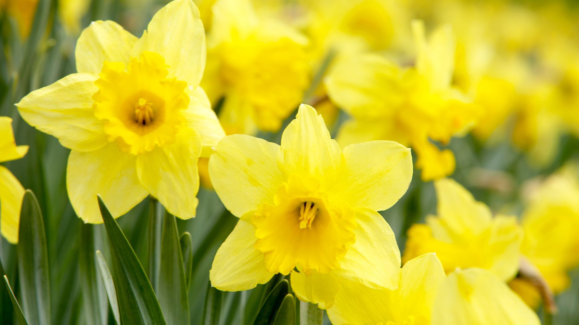 120-Billeder i mails og artikler (1920 × 1080px) - 2023-11-08T104940.280.jpg