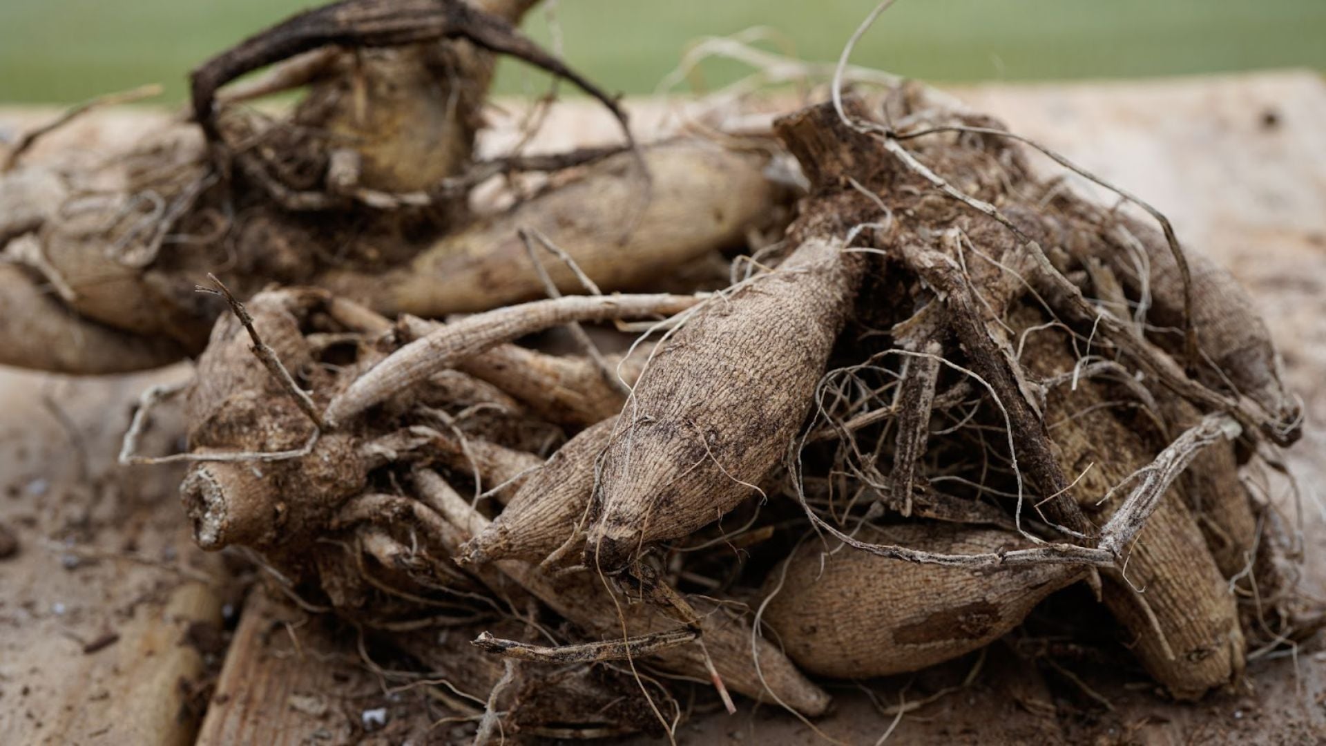 125-Billeder i mails og artikler (1920 × 1080px) - 2024-01-05T093945.463.jpg