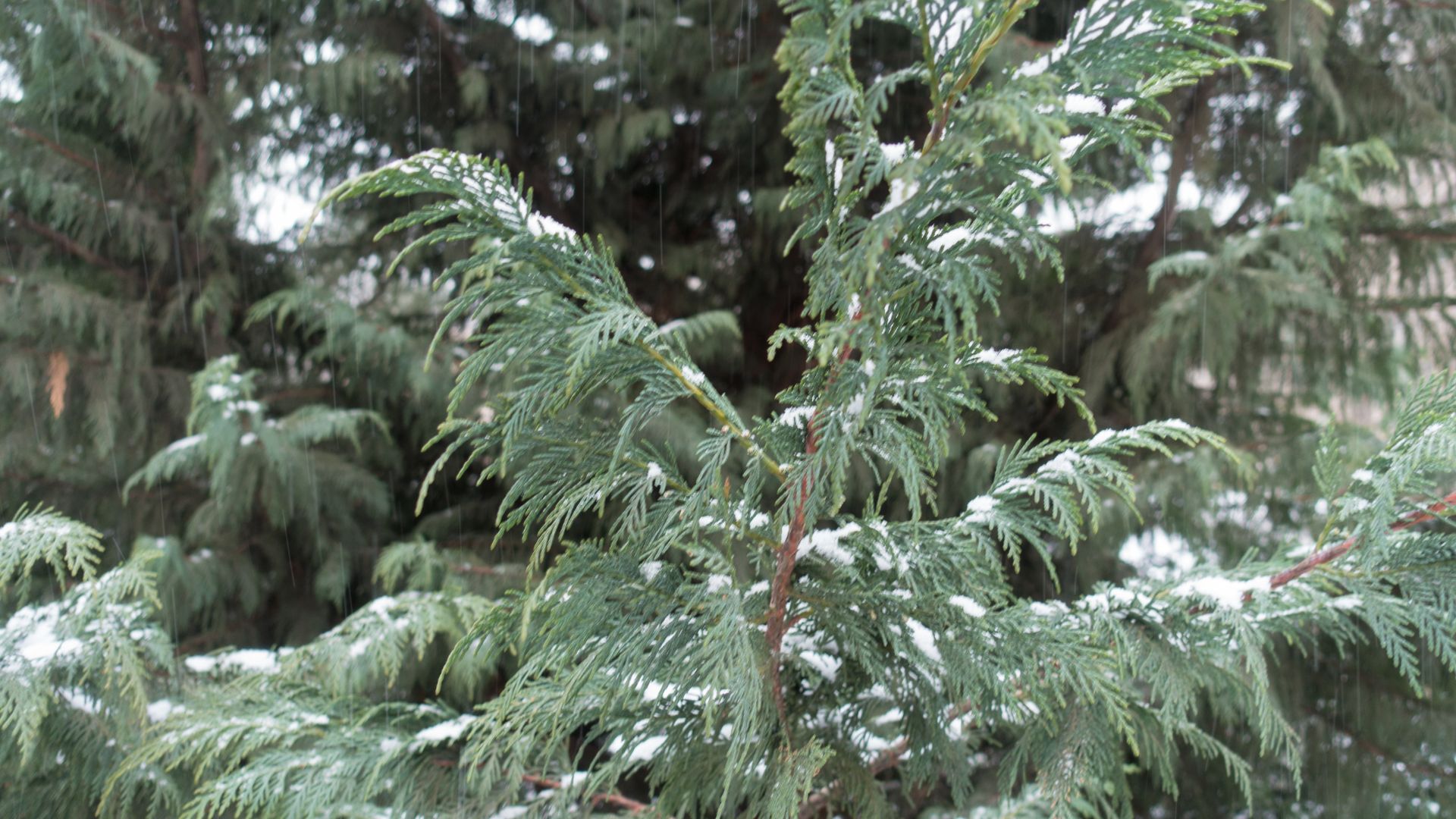 126-Billeder i mails og artikler (1920 × 1080px) (16).jpg